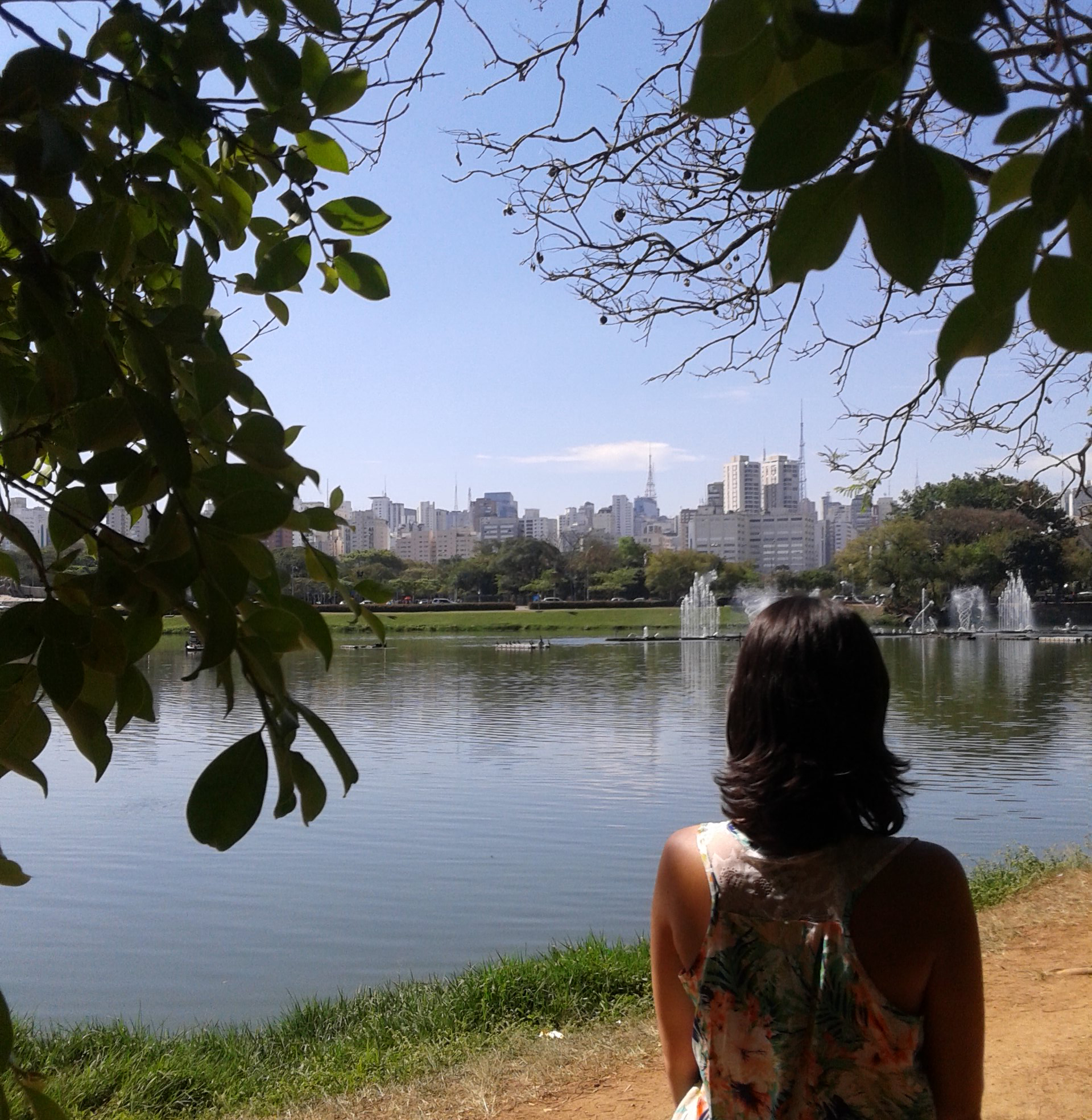 ibirapuera-melhor-parque-do-mundo-3