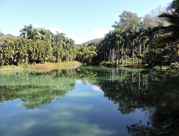 abrace-brumadinho-mg