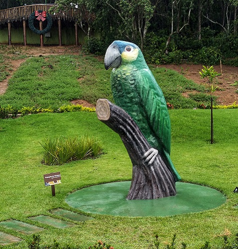 parque-papagaio